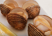 Almejas - Bar Coines - Adra Kmcero